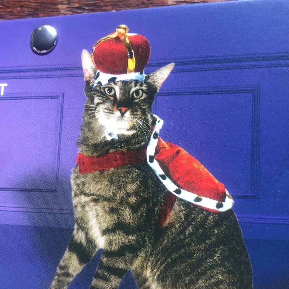 NWT king cat Halloween costume S/M
